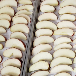 Freeze-Dried Apple Pet Treats