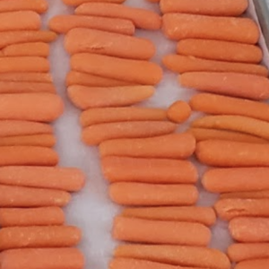 Freeze-Dried Carrot Pet Treats