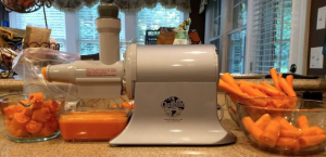 Picture of a Champion Juicer
